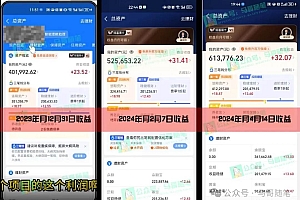 2024年一个人是如何通过“卖项目”实现年入100万