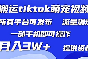 搬运Tiktok萌宠类视频,一部手机即可。所有短视频平台均可操作,月入3W+