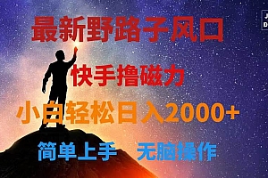 最新风口!快手撸磁力,野路子,小白无脑操作日入2000+