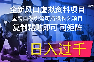 全新风口虚拟资料项目 全网自然引流可持续长久项目 复制粘贴即可可矩阵…