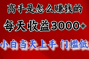 高手是怎么赚钱的,一天收益3000+ 这是穷人逆风翻盘的一个项目,非常稳…