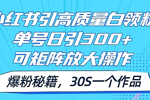 小红书引高质量白领粉,单号日引300+,可放大操作,爆粉秘籍!30s一个作品