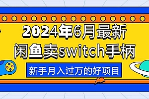 2024年6月最新闲鱼卖switch游戏手柄,新手月入过万的第一个好项目