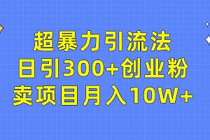 超暴力引流法,日引300+创业粉,卖项目月入10W+