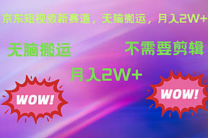 京东图文视频,最新蓝海项目,只靠无脑搬运,不需要剪辑,有手就会,每月亲测2万+