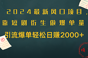 2024最新风口项目,引流爆单轻松日赚2000+,靠短剧衍生做爆单量