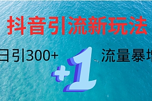 创业粉高效引流,抖音工具号玩法4.0,日引300+
