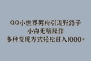 QQ小世界男粉引流野路子,小白无脑操作,多种变现方式轻松日入1000+