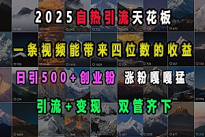 2025自热引流天花板,一条视频能带来四位数的收益,引流+变现双管齐下,日引500+创业粉,涨粉嘎嘎猛