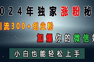 2024年独家涨粉秘籍,日引流300+创业粉,加爆你的微信好友,小白也能轻松上手