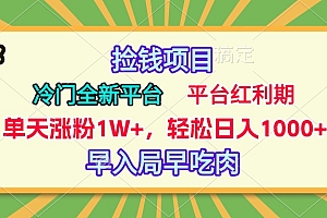 冷门全新捡钱平台,当天涨粉1W+,日入1000+,傻瓜无脑操作