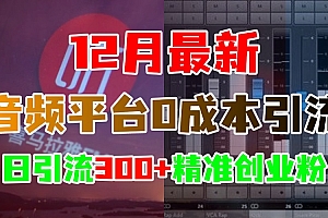 12月最新:音频平台0成本引流,日引300+精准创业粉