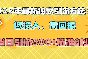 2025年最新独家引流方法,低投入高回报?当日引流300+精准创业粉