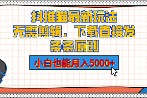 抖推猫最新玩法,小白也能月入5000+,小说推文无需剪辑,直接代发,2分钟直接搞定