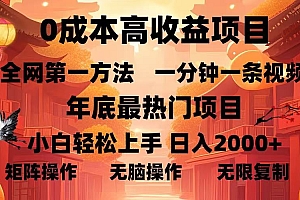0成本高收益蓝海项目,一分钟一条视频,年底最热项目,小白轻松日入2000+