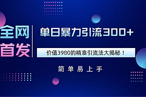 全网首发,价值3980单日暴力引流300+的精准引流法大揭秘!