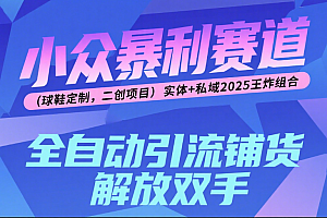 楠—小众暴利赛道(球鞋定制,二创项目)实体+私域2025王炸组合