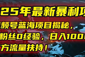 2025年最新暴利项目:视频号蓝海项目揭秘,0粉丝0经验,日入1000+,官方流量扶持!