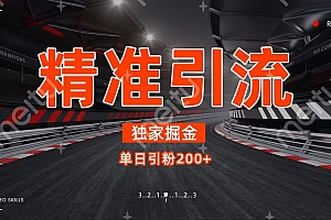 独家野路子精准引流 每日200+