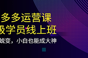 拼多多运营课:超级学员线上班,21天蜕变,小白也能成大神