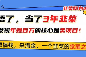 悟了,当了3年韭菜,才发现网赚圈年赚100万的核心是卖项目,含泪分享!