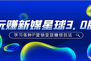 《玩赚新媒星球3.0版》学习各种IP营销变现玩法(价值498)