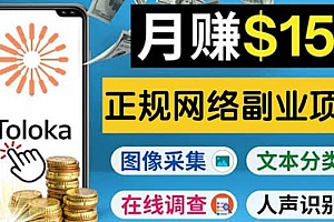 正规网络副业赚钱平台Toloka,利用业余时间月赚150美元