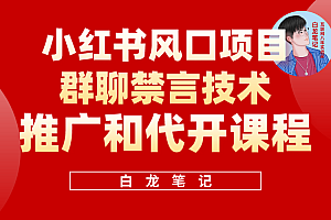 小红书风口项目日入300+,小红书群聊禁言技术代开项目,适合新手操作