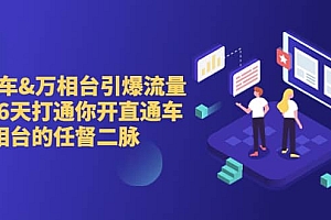 直通车+万相台引爆流量班,6天打通你开直通车·万相台的任督 二脉