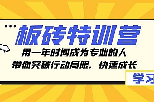 板砖特训营,用一年时间成为专业的人,带你突破行动局限,快速成长