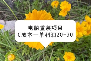 电脑系统重装项目,0成本一单利润20-30