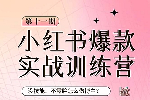 小红书博主爆款实操营·第11期:从0-1打造赚钱IP,日躺赚千元,9月完结新课
