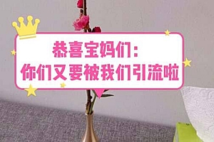 恭喜宝妈们:你们又要被我们引流了(教程+222g资料)
