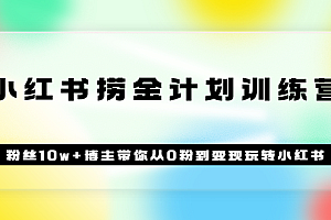 《小红书捞金计划训练营》粉丝10w+博主带你从0粉到变现玩转小红书(72节课)