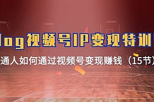 Vlog 视频号IP变现特训营,普通人如何通过视频号变现赚钱(15节)
