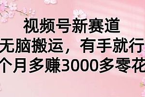 视频号新赛道,无脑搬运,有手就行,每个月多赚3000多零花钱