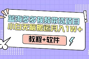 人人都能操作的蓝海多多视频带货项目 小白无脑搬运(教程+软件)