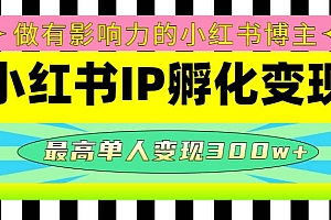某收费培训-小红书IP孵化变现:做有影响力的小红书博主