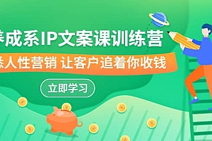 养成系-IP文案课训练营,文案心法的天花板 洞悉人性营销 让客户追着你收钱