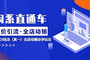 淘系直通车《低价·引流 全店·动销》超高ROI玩法(其一)全店动销必学玩法