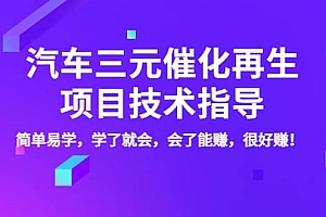 汽车三元催化再生项目技术指导,简单易学,学了就会,会了能赚,很好赚!