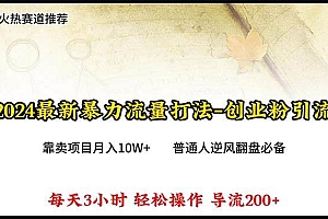 2024年最新暴力流量打法,每日导入300+,靠卖项目月入10W+