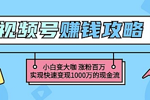 玩转微信视频号赚钱:小白变大咖涨粉百万实现快速变现1000万的现金流