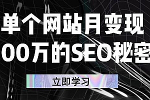 单个网站月变现100万的SEO秘密,百分百做出赚钱站点
