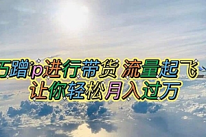 巧蹭ip进行带货,流量起飞,让你轻松月入过万