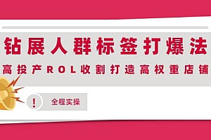 钻展人群标签打爆法,高投产ROL收割打造高权重店铺(全程实操)