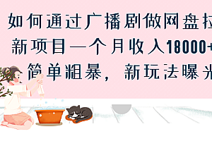如何通过广播剧做网盘拉新项目一个月收入18000+,简单粗暴,新玩法曝光