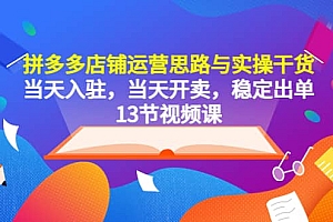 拼多多店铺运营思路与实操干货,当天入驻,当天开卖,稳定出单(13节课)