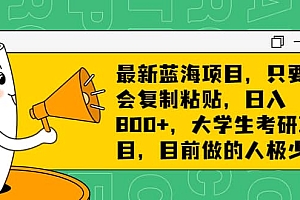 最新蓝海项目,只要会复制粘贴,日入800+,大学生考研项目,目前做的人极少