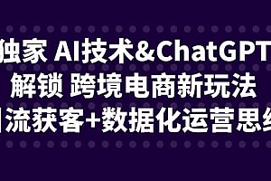 独家 AI技术ChatGPT解锁 跨境电商新玩法,引流获客+数据化运营思维